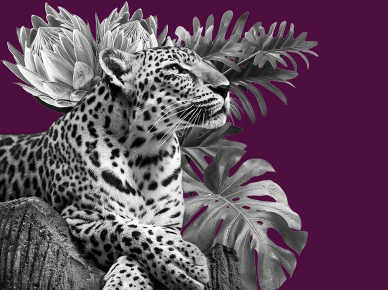 Purr into Winter with our latest Animal Prints